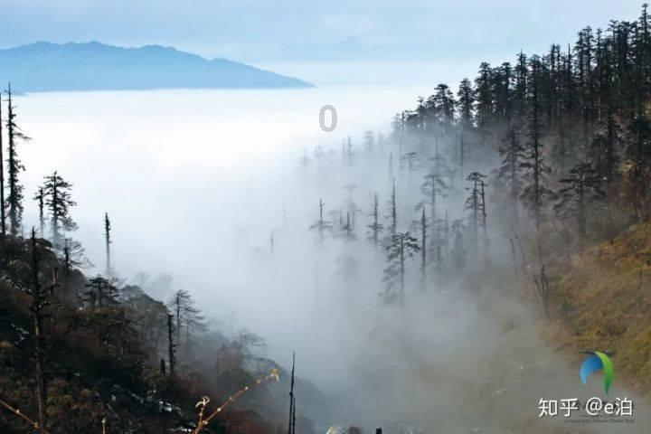 想预测未来，知道自己的寿命长短？记住这4个指标，关乎寿命健康