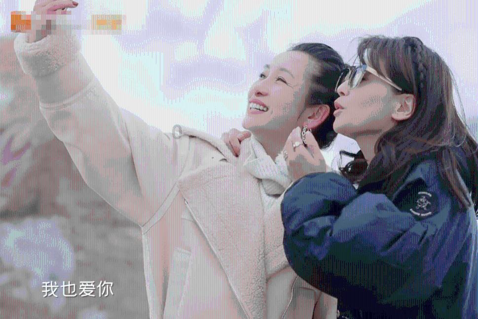 欲钱买鸡犬不宁的生肖，求解、，谢谢游戏画面