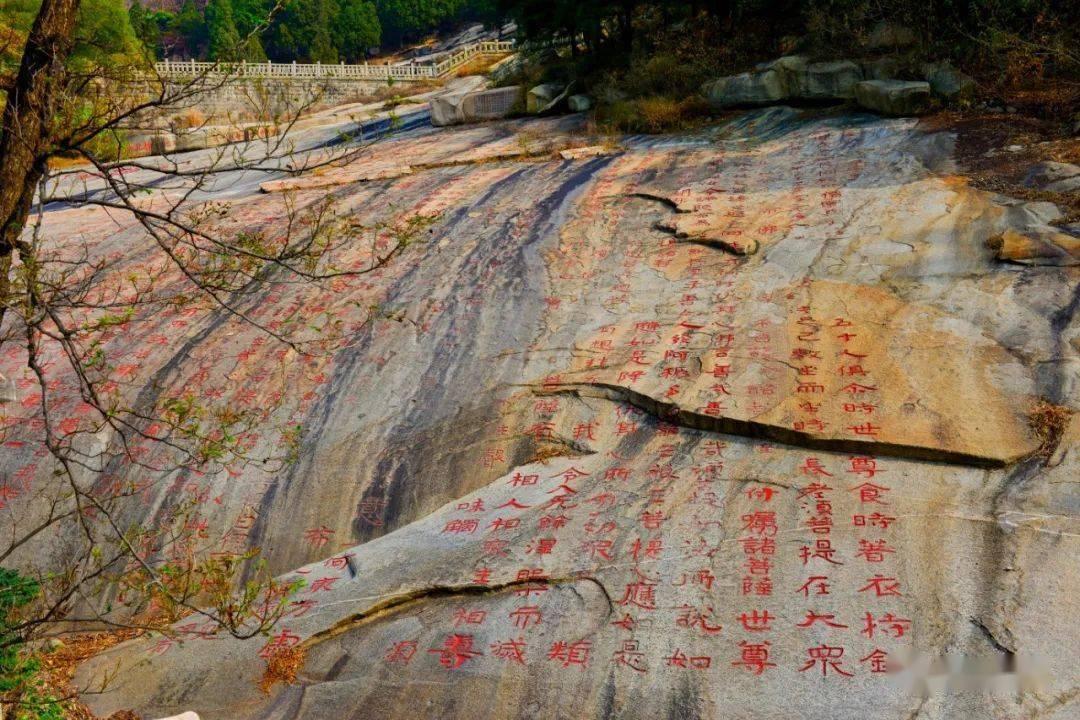 四款时尚裤子的图纸参考