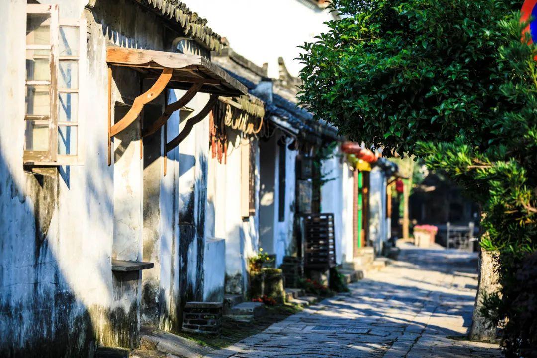 寒潮来袭,提前学会八道炖菜,吃得暖不怕冷,提前抗寒能力好过冬